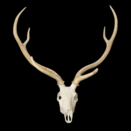 Rack Lord