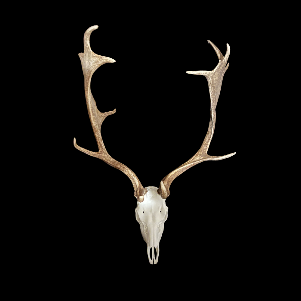 Rack Prime