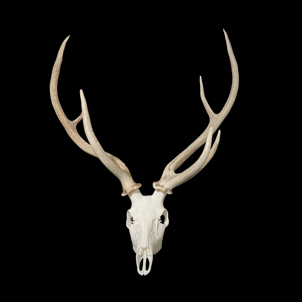 Rack Lord