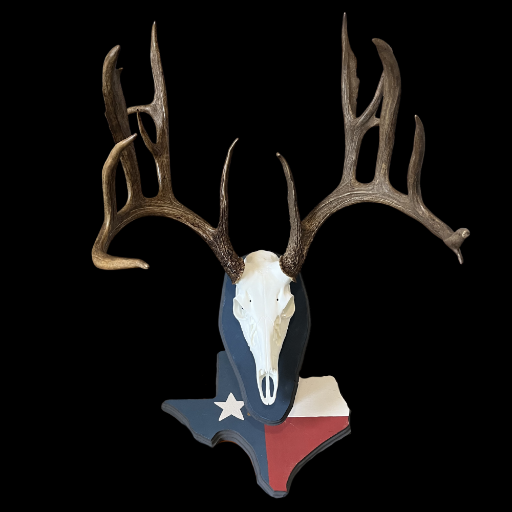 Whitetail skull mount on a Texas flag painted Euro stand